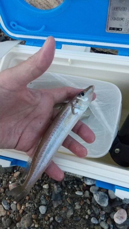 キスサイズ更新