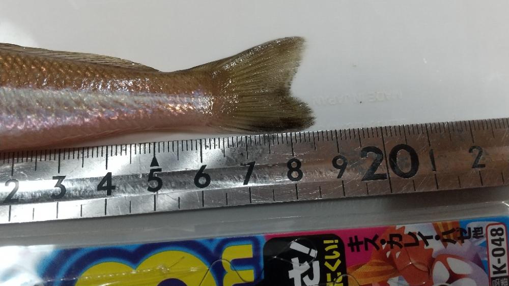 イベントリトライ(キス更新)