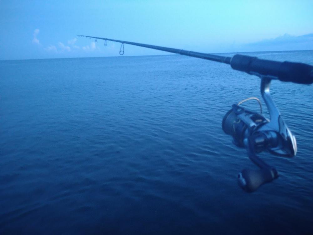 名所周辺の秋イカ