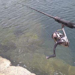 爆風の越前エギング