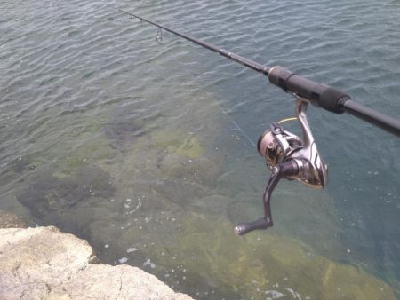 爆風の越前エギング