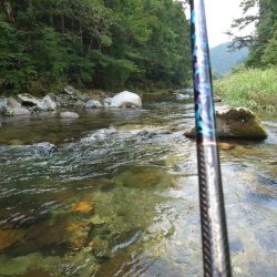 ぶっ飛ぶ目印2日目