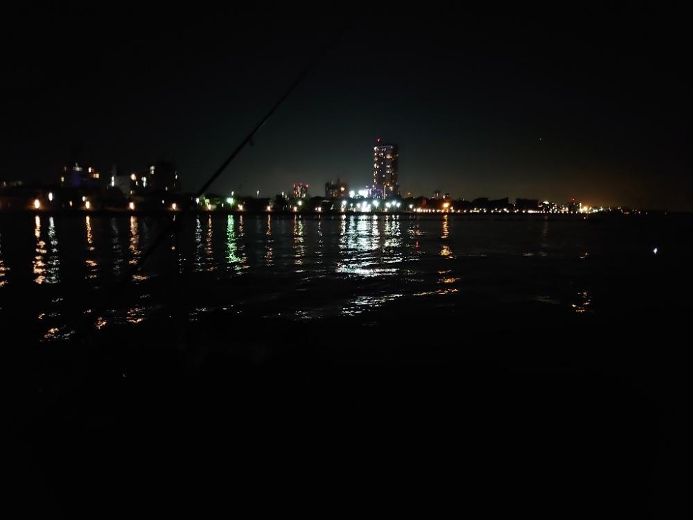 エビ撒き釣りリベンジ…失敗