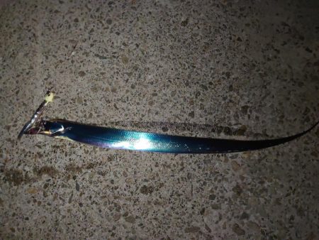 タチウオ開幕！？