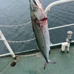 牛深　マイクロベイトボイル攻略