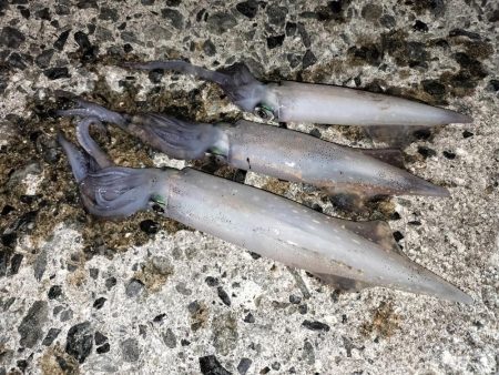 真夏のターゲット