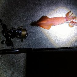 最後になんとか