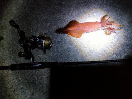 最後になんとか