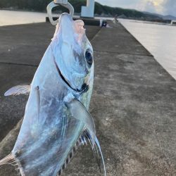 タイ釣り