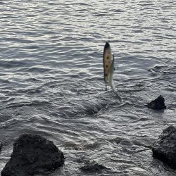 リベンジしました!!