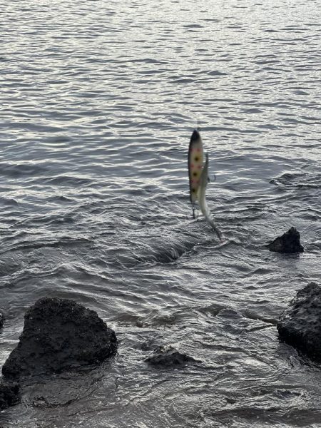 リベンジしました!!