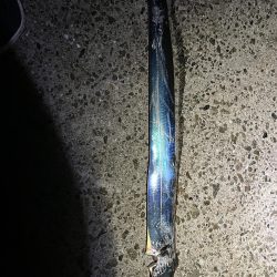 タチウオまあまあ釣れた