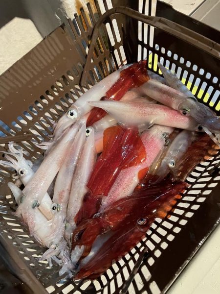 満月のイカメタル