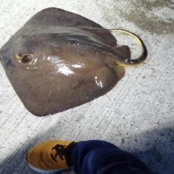 灼熱でのぶっこみ釣り