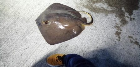 灼熱でのぶっこみ釣り