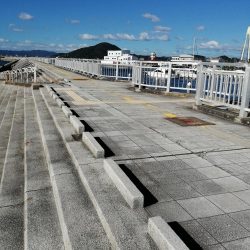 夕マヅメの根魚