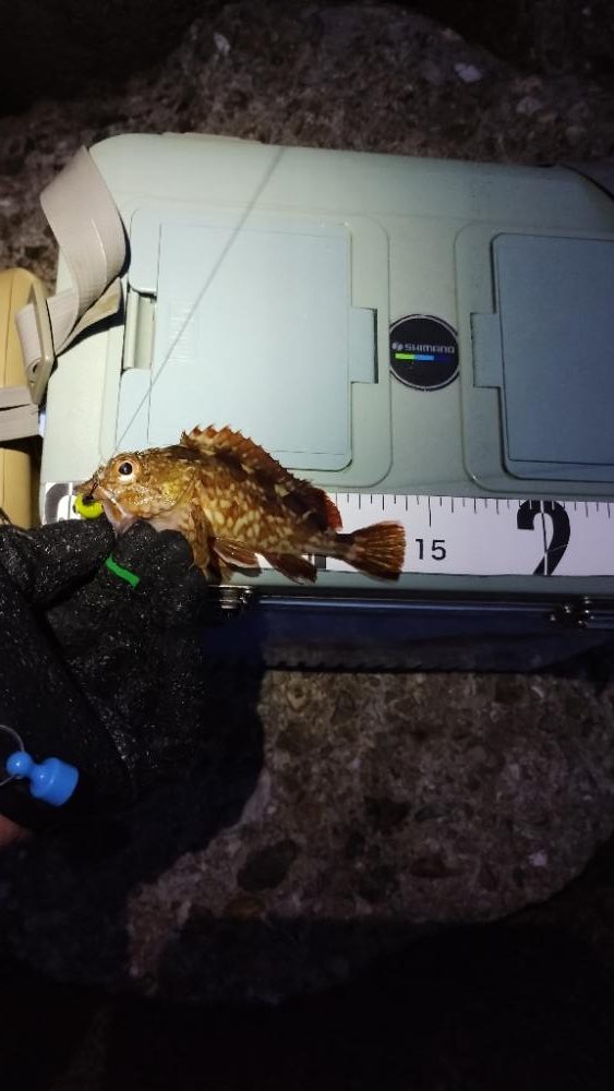 色々気が散って