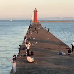 更に厳しくなった播磨新島のキス