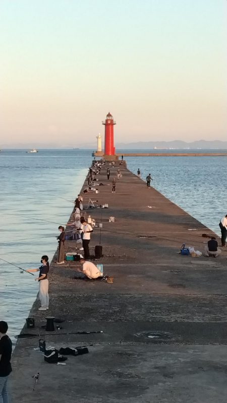 更に厳しくなった播磨新島のキス