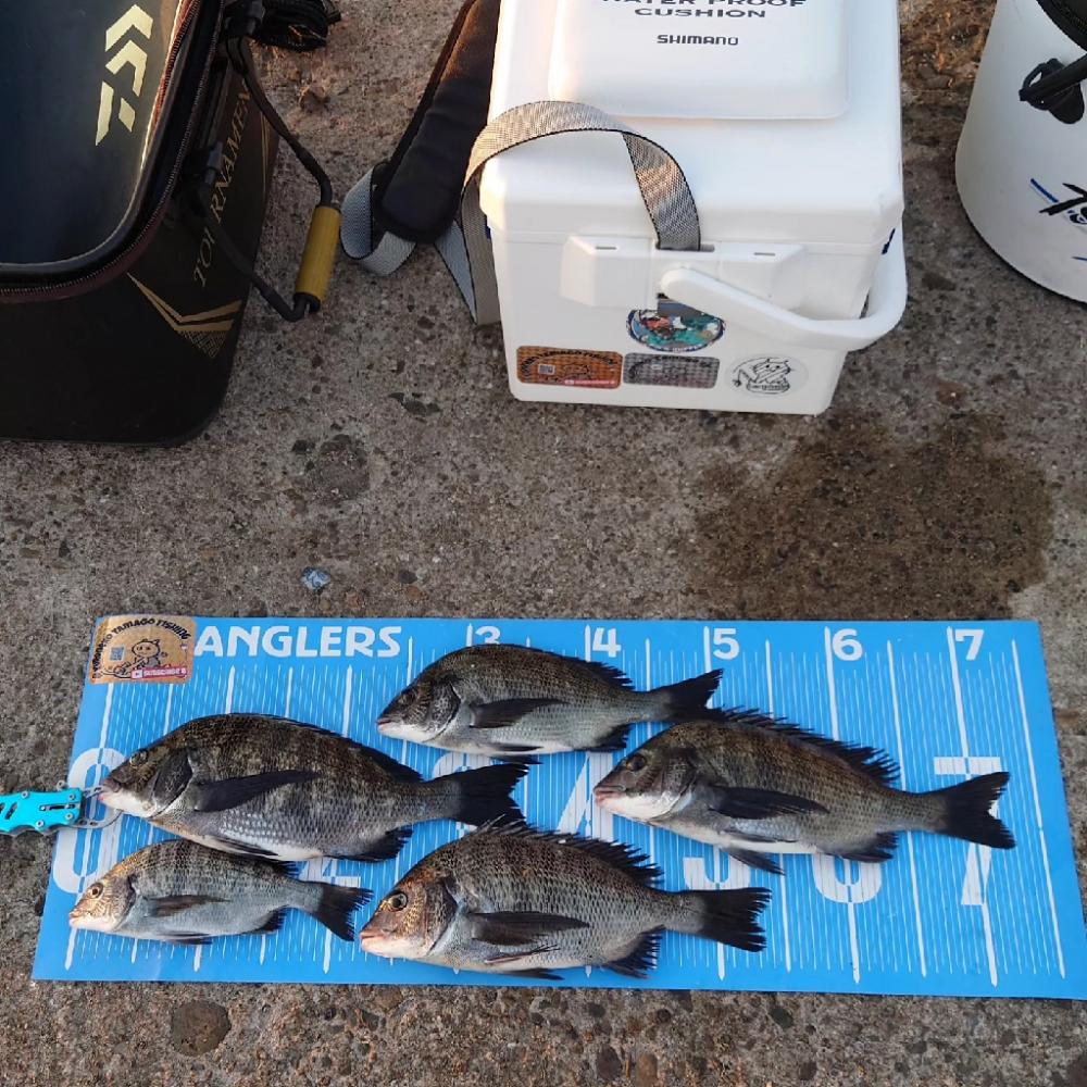 紀州釣り第3戦🥵