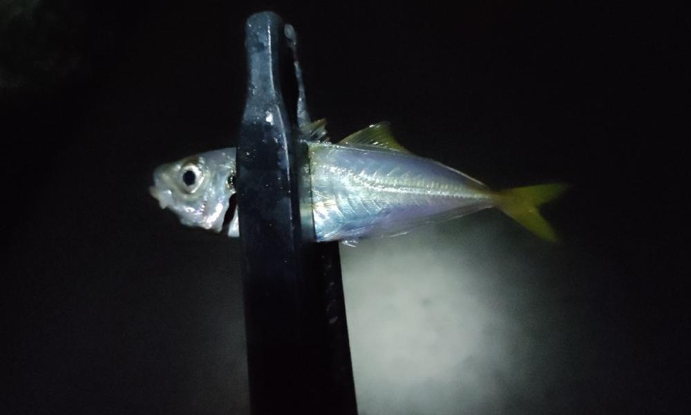 台風から逃げて山口遠征