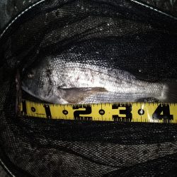 終了間際のヒット