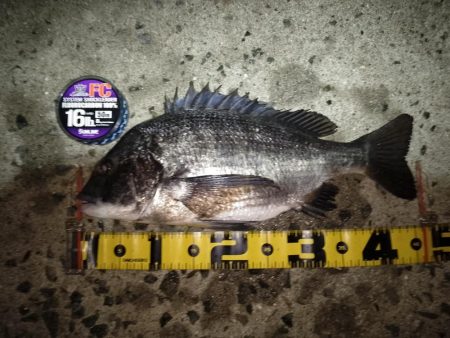 リフト＆フォールでヒット