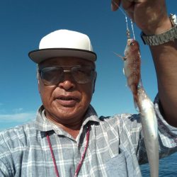 播磨新島のキス釣査