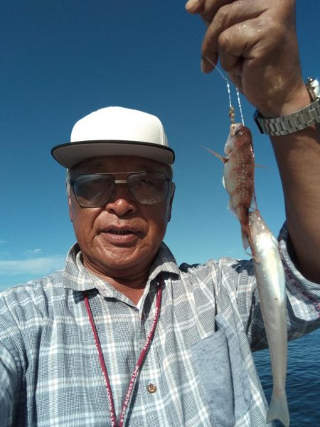 播磨新島のキス釣査