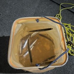 初道北フィッシング日本最北端での釣り