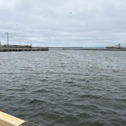 稚内でサビキ釣り