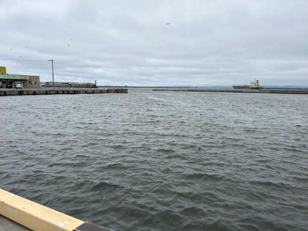 稚内でサビキ釣り