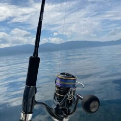 真夏のジギングチャレンジ