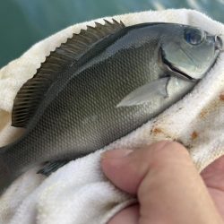 いろいろ楽しい