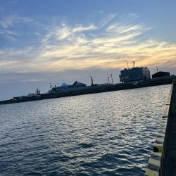 オオモン&ガッシー