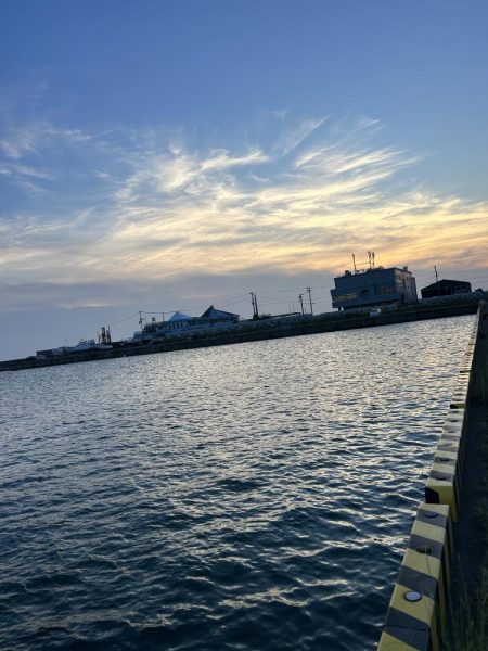 オオモン&ガッシー