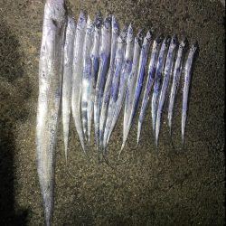 ★★メーター超えの奴が来た★★