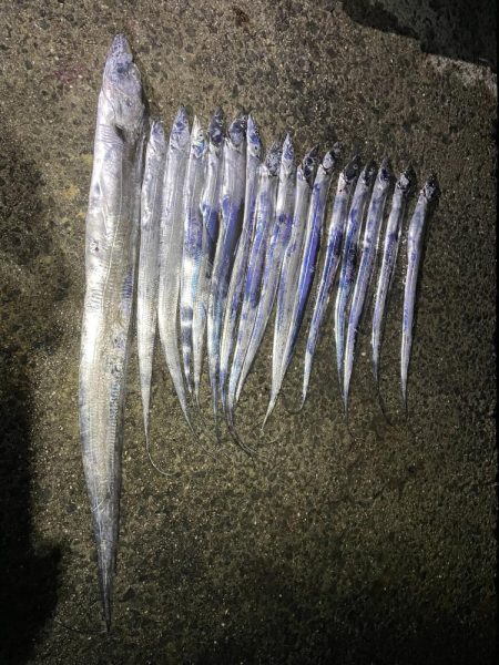 ★★メーター超えの奴が来た★★