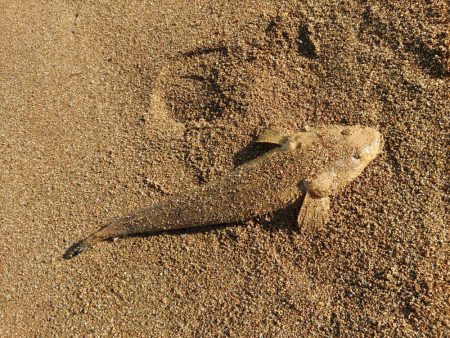 無理はきんもの！