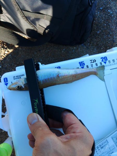 海岸で夏祭り💧