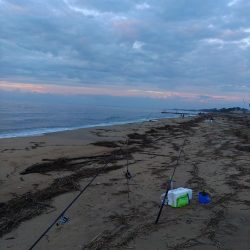 三重で初キス釣行