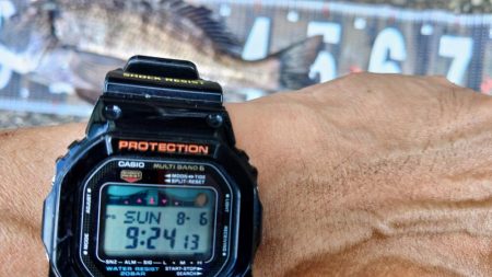 ぶら河川岸壁調査!