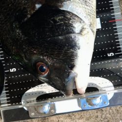 ぶら台風後調査!!