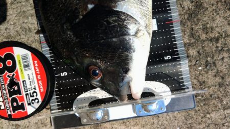 ぶら台風後調査!!