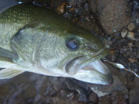 減水続き　その２