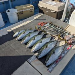 紙一重（サウス）