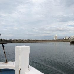 お土産いっぱい（サウス）