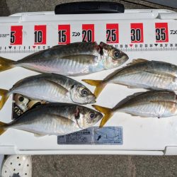 久々に水軒一文字