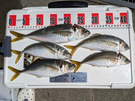 久々に水軒一文字