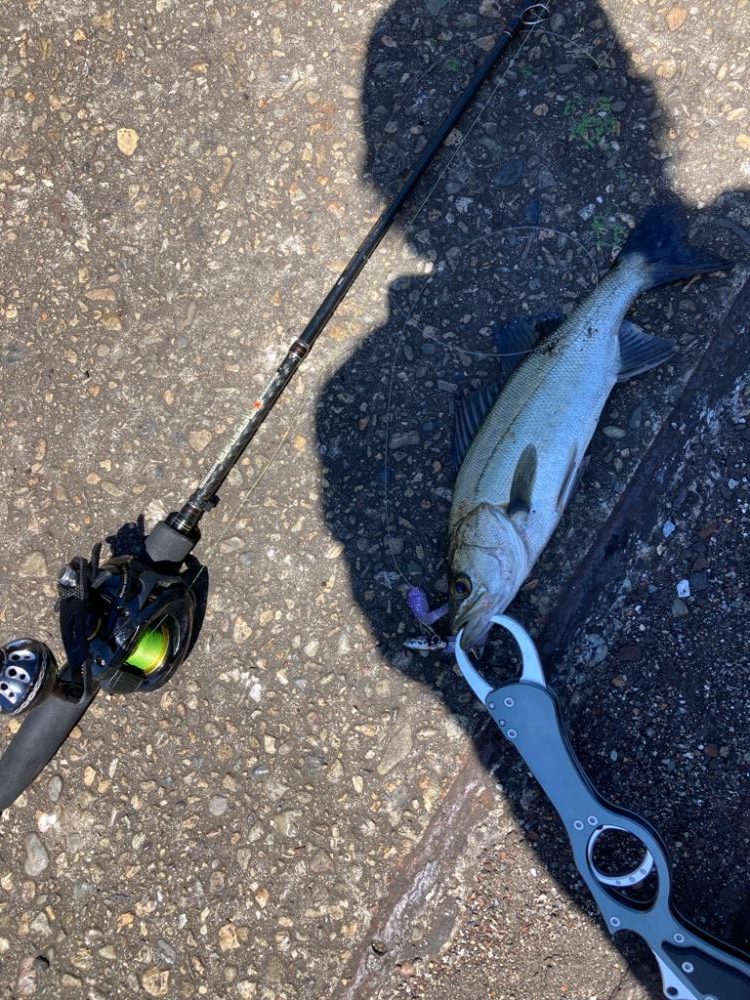 岸ジギ釣行⑥